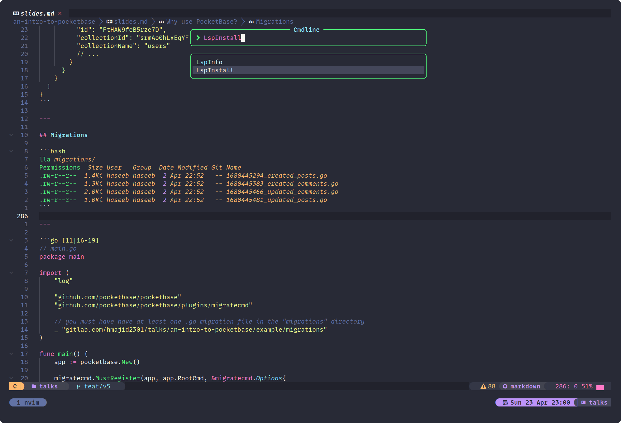 Neovim Noice