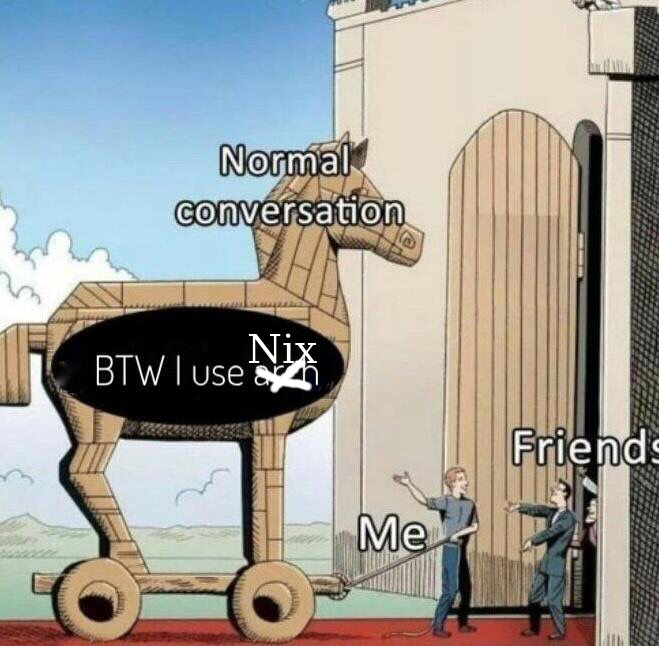 I use Nix btw